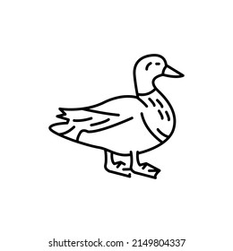 Mallard color line icon. Pictogram for web page, mobile app, promo.