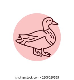Mallard color line icon. Pictogram for web page, mobile app, promo.