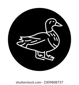Mallard color line icon. Pictogram for web page, mobile app, promo.