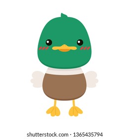 Mallard Duck cartoon. Mallard Duck on white background.