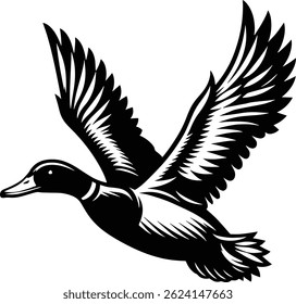 Mallard Duck in Flight design