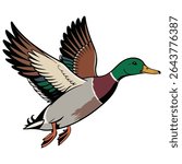 Mallard duck flying isolated vector illustration on white background