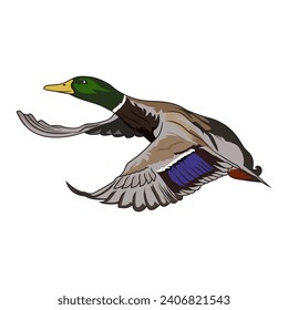 Ilustración de la cacería del pato Mallard Logo imagen vectorial camiseta