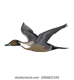 Mallard Duck Hunting illustration logo vector image t shirt
