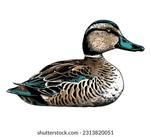 Mallard duck, nature beauty animal icon isolated