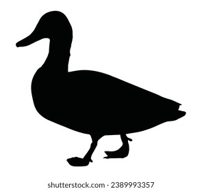 Mallard duck sign. Duck black silhouette isolated on white background.