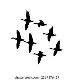 Mallard duck silhouette flying vector illustration design on white background.