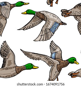 Mallard duck vector sketch wild bird icon