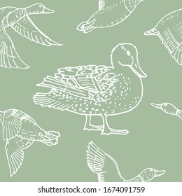 Mallard duck vector sketch wild bird icon