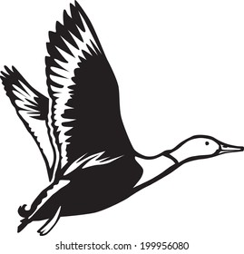 Mallard Duck Waterfowl Mallard Duck Flight Stock Vector (Royalty Free ...