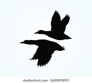 mallard flying duck silhouette, black and white vector design