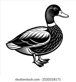 Mallard1 Bird, Whit and Black , Illustrator, Image, White Background