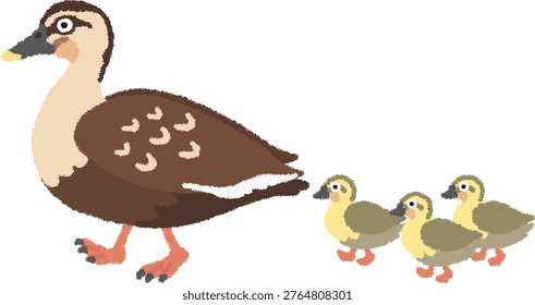 Mallards are generally dark brown in color, with a whitish face and two dark brown stripes. Their beaks are black with a distinctive yellow tip.