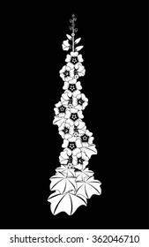 Mallow flower. Black-and-white illustration