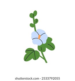 Mallow flower in bloom. Floral plant with leaf, delicate petals. Malva blossom. Gentle beautiful wild plant. Botanical natural flat graphic vector illustration isolated on white background