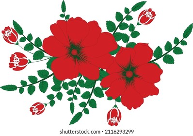 mallow flowers isolated on white background