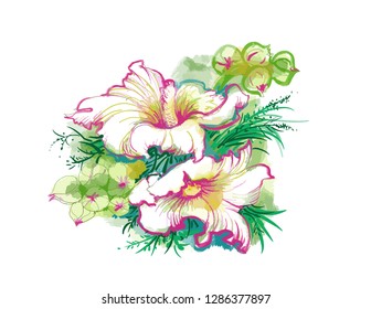 Mallow flowers on white background vector illustration