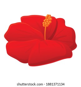 Mallow hibiscus icon. Cartoon of mallow hibiscus vector icon for web design isolated on white background