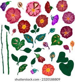 Mallow, stem rose. Floral set of flat style elements. Vector flower set