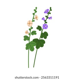 Mallows, flower branches, stems with leaves. Delicate malva blossoms. Floral blooming sprigs, spring and summer plant. Btanical natural flat graphic vector illustration isolated on white background.