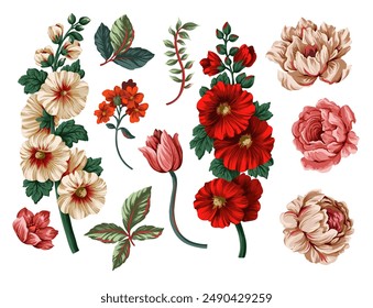 Mallows and other flowers isolated. Vector