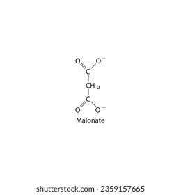 Malonate Dicarboxylic Acid competitive inhibitor of enzymes involved in various metabolic pathways Molecular structure skeletal formula on white background.