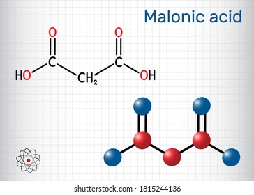 Malonic acid, dicarboxylic, propanedioic acid molecule. The ionized form its ester and salt, are known as malonate. Sheet of paper in a cage. Vector illustration