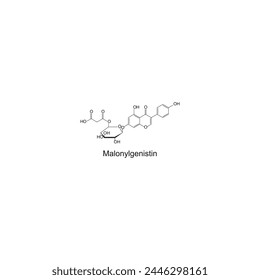 Malonyldaidzin skeletal structure diagram.Isoflavanone compound molecule scientific illustration on white background. svg