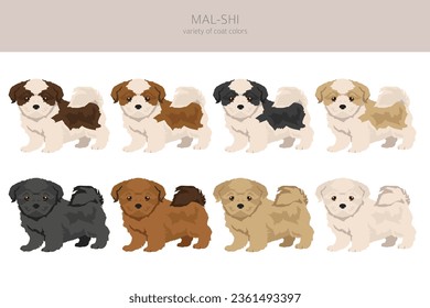 Mal-Shi clipart. Maltese Shih-Tzu mix. Different coat colors set.  Vector illustration svg