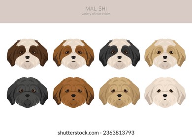 Mal-Shi clipart. Maltese Shih-Tzu mix. Different coat colors set.  Vector illustration