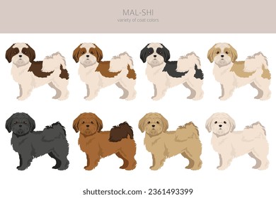 Mal-Shi seamless pattern. Maltese Shih-Tzu mix. Different coat colors set.  Vector illustration svg
