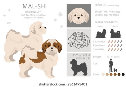 Mal-Shi seamless pattern. Maltese Shih-Tzu mix. Different coat colors set.  Vector illustration svg