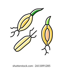 malt barley color icon vector. malt barley sign. isolated symbol illustration