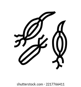 malt barley line icon vector. malt barley sign. isolated contour symbol black illustration