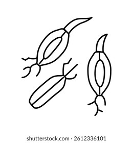 malt barley line icon vector. malt barley sign. isolated contour symbol black illustration