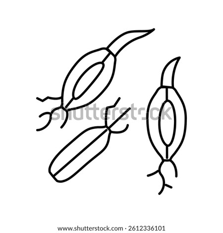 malt barley line icon vector. malt barley sign. isolated contour symbol black illustration