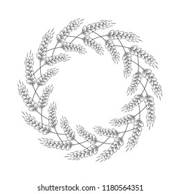 Malt, barley, wheat, rye ears round hand drawn wreath. Design beer label frame. Vector isolated. 