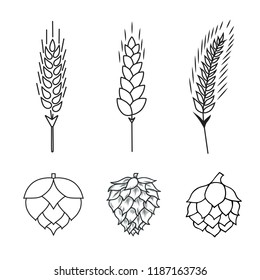 Malt, rye, barley, wheat ears and hop cone beer icon. Grain cereal for bottle label. Vector isolated illustration.