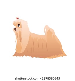 Maltese Bolonka Dog Breed. Cute Vector Illustration in Cartoon Style.