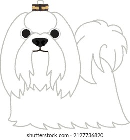 The Maltese is a breed of dog in the toy group. It traditionally has a silky, pure-white coat, hanging ears and a tail that curves over its back, and weighs up to 3.6 kilograms (8 lb).[