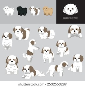 Maltese Dog Bicolor Cartoon Vector Illustration Color Variation Set