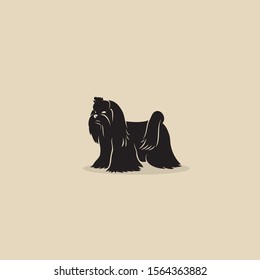 Maltese dog breed - isolated vector illustration