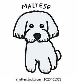 Maltese dog cartoon doodle style