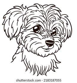 Maltese dog cartoon illustration  Animal print for kids t shirt  nursery decor cute greeting card 