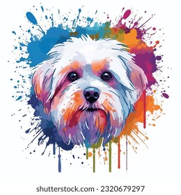 Maltese dog colorful splash art graphic vector