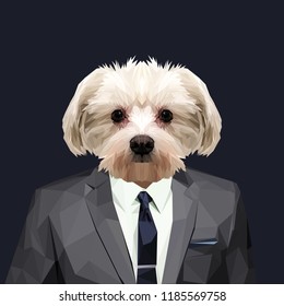 Maltese dog dressed in a suit. Elegant classy style. Vector illustration.