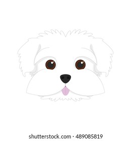Maltese dog isolated on white background vector illustration