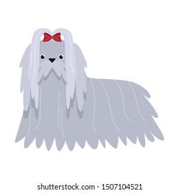 Maltese dog. Raster illustration in flat cartoon style