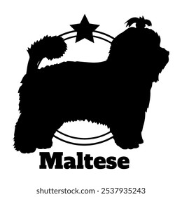 Maltese dog silhouette,  dog, dog breeds, logo, vector, silhouette, logo design, animal, illustration, icon, sign, design, black,  symbol, pet