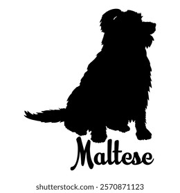 Maltese dog silhouette, dog breeds, logo, vector, silhouette,  animal, illustration, icon, sign, design, black, symbol, pet, love
